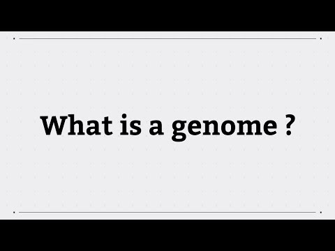 Genome Types and Their Role in Genetic Research and Health