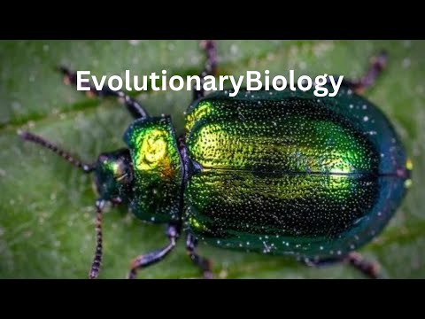 Unraveling the Mysteries of Bio Evolution in Nature