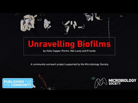 Advancing Mycology Study Through Scientific Outreach Initiatives