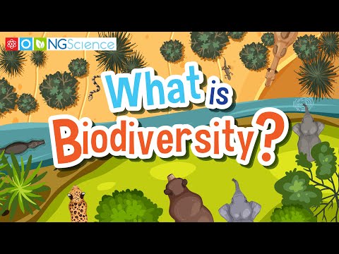 Biodiversity in Science and Its Importance for Ecosystems