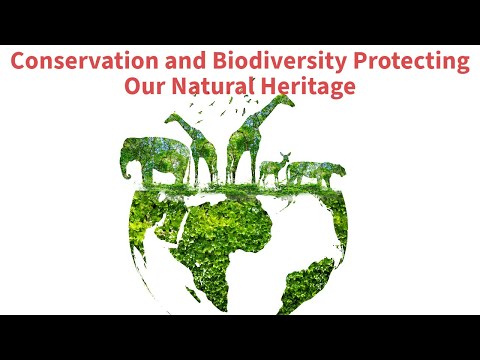 Science and Conservation: Protecting Our Natural Heritage