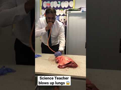 Veterinary Anatomy in Focus: Insights for Scientific Outreach