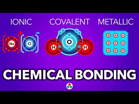 Common Examples of Covalent Bonds in Everyday Life