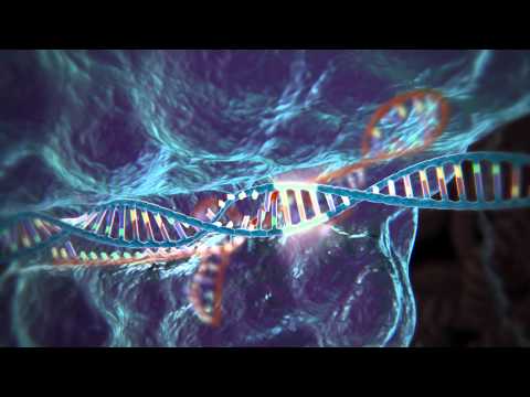 Advancements in High Gene Research and Its Implications