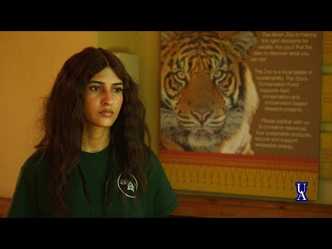 Tiger Behavior: Insights from Wildlife Research and Observation