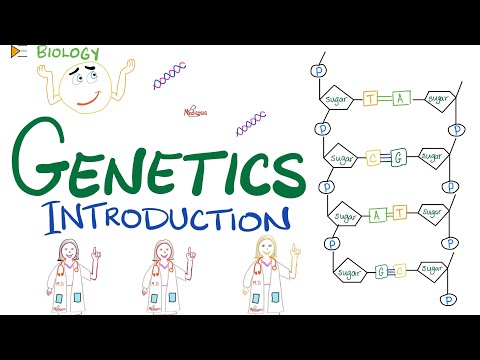 Genetic Science and Its Role in Modern Medicine