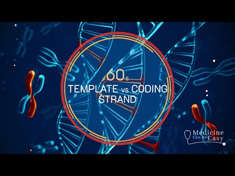 The Role of Coding Strands in Genetic Research and Outreach