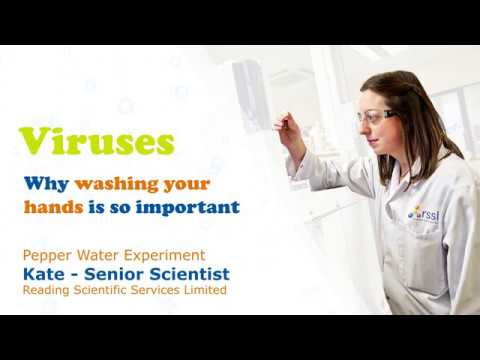 Innovations in Virus Biology and Scientific Outreach