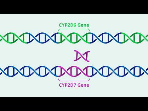 Hybrid Definitions in Biology and Their Scientific Importance