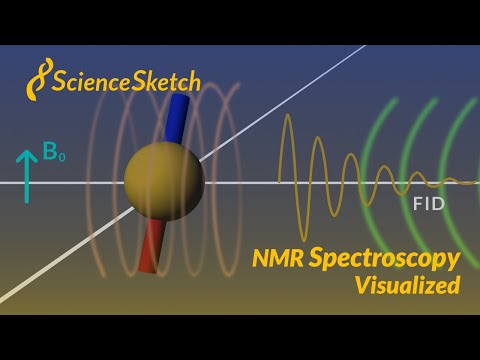 Nuclear Magnetic Spectroscopy in Modern Scientific Research