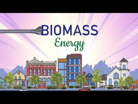 Harnessing Biomass: A Sustainable Energy Solution