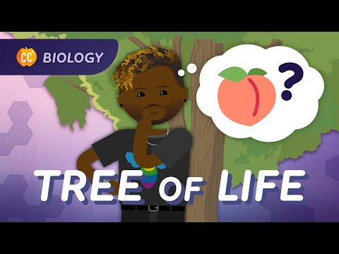 The Significance of Diversity in Biological Systems