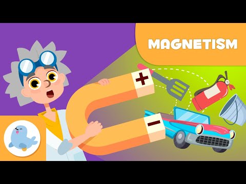 Magnetic Properties of Rectangular Magnets in Science