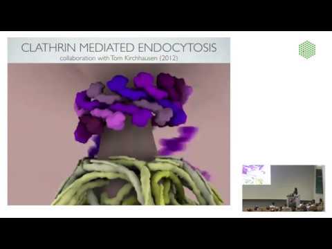 Advancing Science Through Molecular Biology Communication