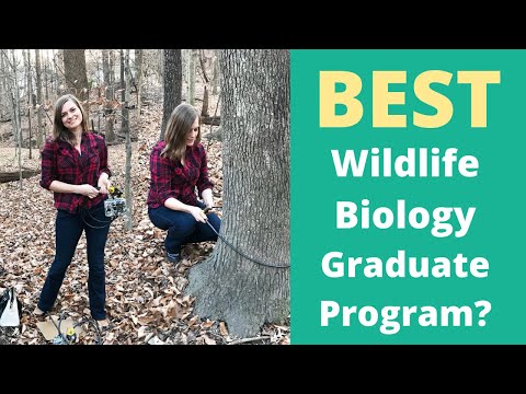 Top Colleges for Advancing Zoology and Wildlife Science