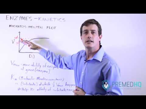 Visualizing Enzyme Kinetics with the Michaelis Menten Graph