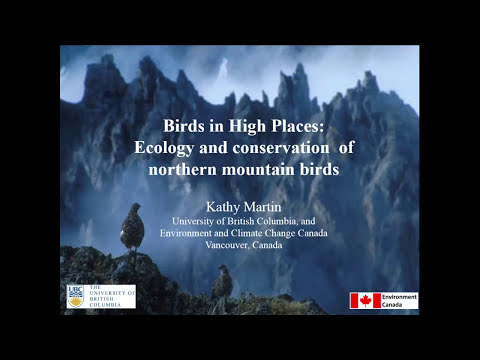 Mountain Ecology: Interactions of Life in High Places