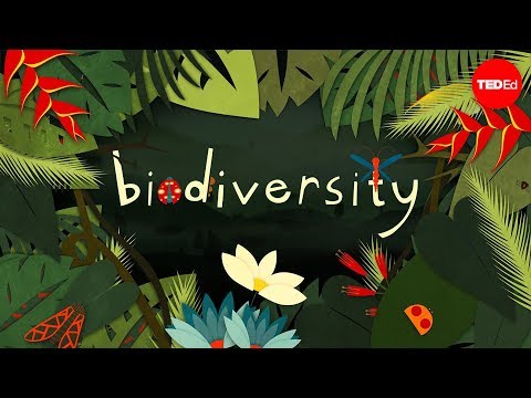 Celebrating the Richness of High Biodiversity in Nature