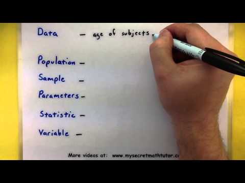 Essential Statistics Terms for Scientific Communication