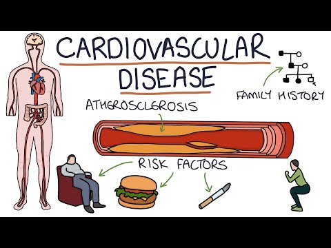 Advances in Cardiac Physiology and Heart Health Education