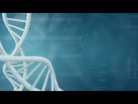 The Building Blocks of Genes and Their Functions in Life