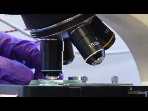 Innovative Biomass Fuels and Their Role in Sustainable Energy