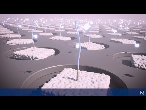 Nautilus Biotechnology: Advancing Science Through Innovation