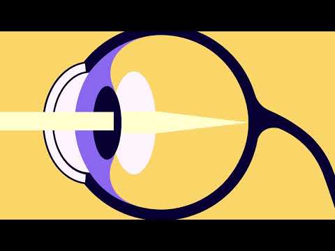 Intricate Design of the Eye: A Scientific Exploration