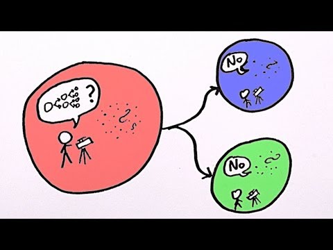 Parallel Universes: A Journey Through the Many Worlds Hypothesis