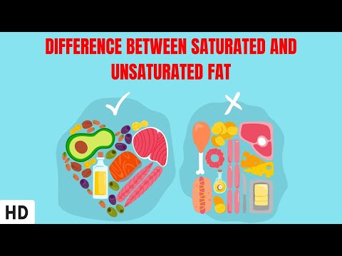 Fatty Acids in Biology: Functions and Importance in Life