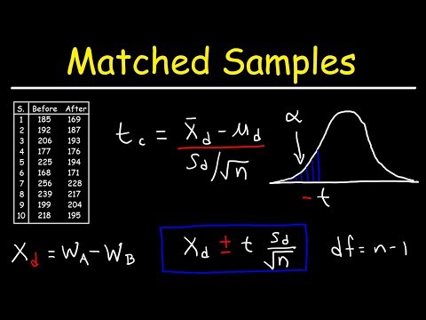 Paired T Test in Scientific Research and Data Interpretation