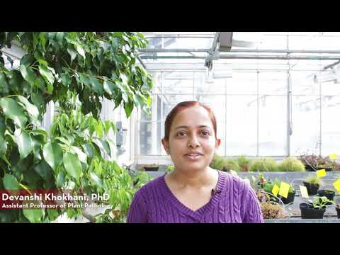Advancements in Agricultural Biology for Sustainable Farming
