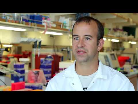 Innovations in Cellular Regeneration Research and Applications