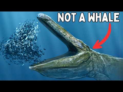 Convergent Evolution: Nature's Surprising Similarities