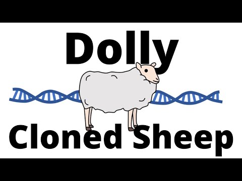 Cloning in Biology: Definition and Scientific Significance