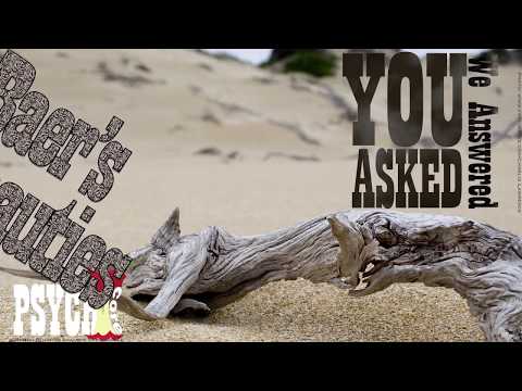 Methodological Behaviorism in Modern Scientific Research