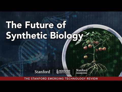 Advancements in Synthetic Organisms and Their Potential Uses