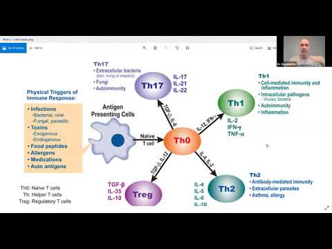 Th1 Cells and Their Role in Immune Response Dynamics