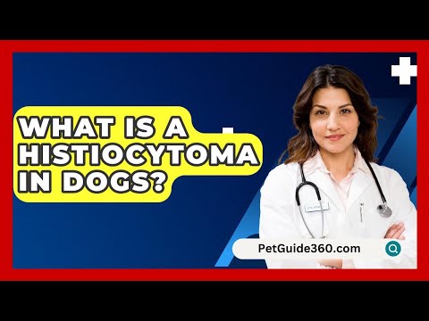 Cytological Insights into Canine Histiocytoma Diagnosis