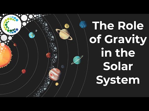Unraveling the Role of Gravity in Solar Dynamics