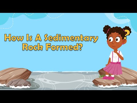 The Science and Formation of Sedimentary Rocks
