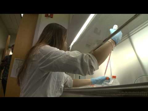 Advancing Science Through UConn's Molecular and Cell Biology