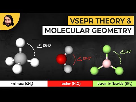 Unveiling the Molecular Geometry of SF4 Compounds