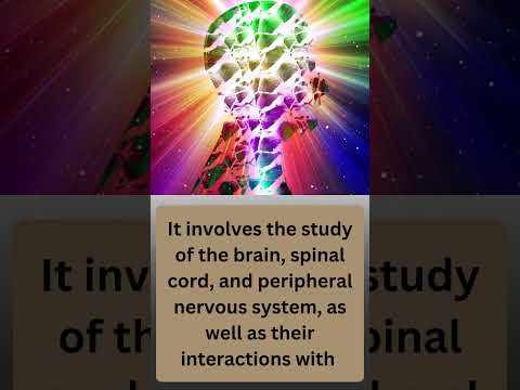 Computational Neuroscience and the Quest for Brain Insights