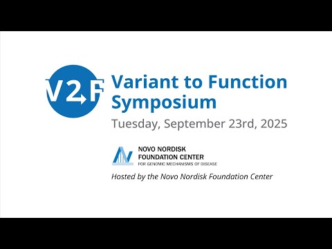 Unraveling the Function and Importance of the Vmat2 Gene