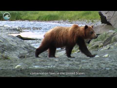 Celebrating Endangered Species Day Through Science and Education