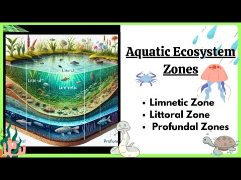 Lake Ecology: Interactions and Biodiversity in Freshwater Systems