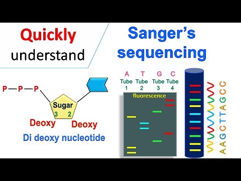 Sanger Sequencing's Role in Modern Genetic Research