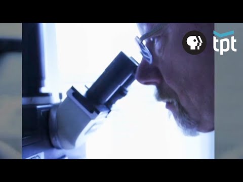 CSI Forensic Scientists: Bridging Science and Justice