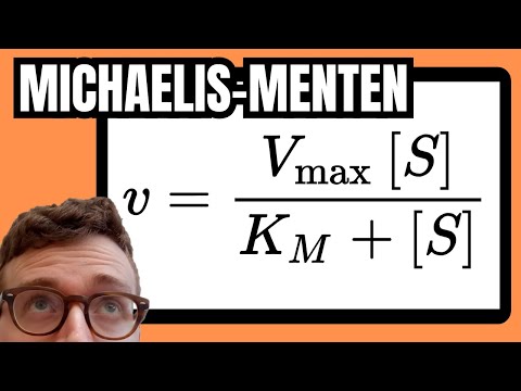 Michaelis Menten Kinetics and Its Role in Biochemistry